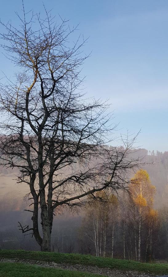 Hostel Bacowka Pttk Jaworzec Wetlina Exteriér fotografie