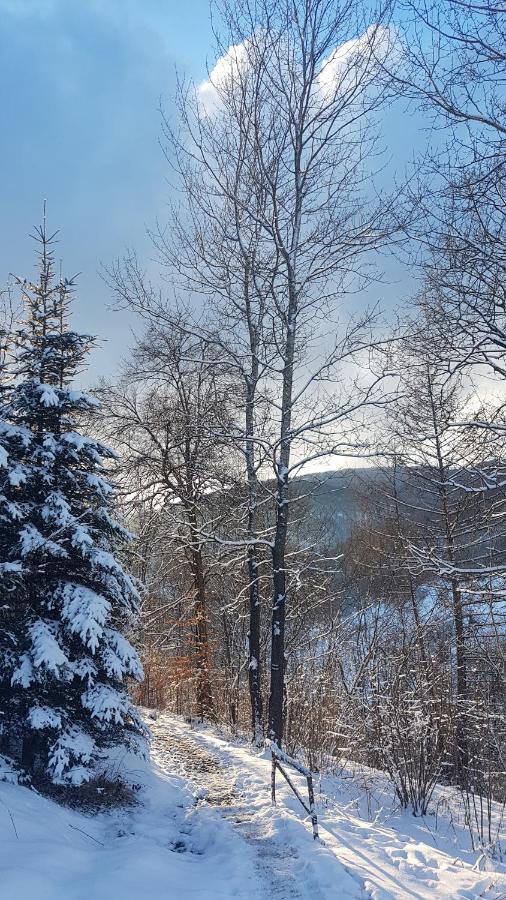 Hostel Bacowka Pttk Jaworzec Wetlina Exteriér fotografie